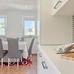 Pavlovic Bužinija
